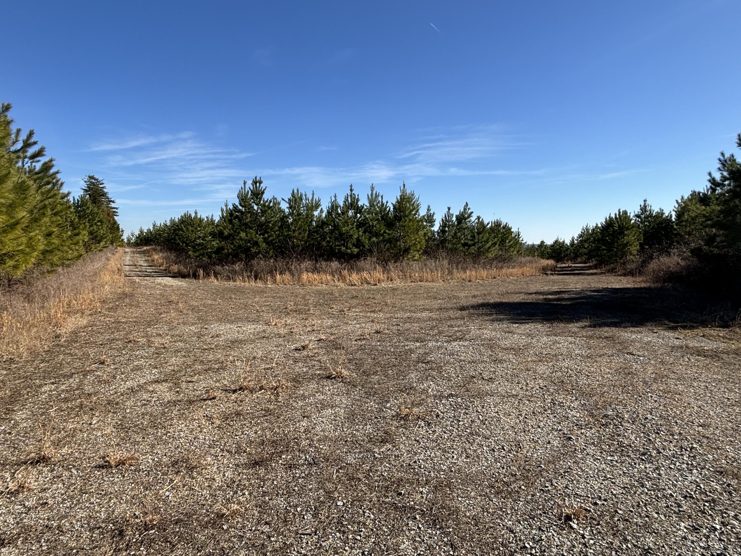 Dividing Ridge Road, Spring City, Tennessee image 16