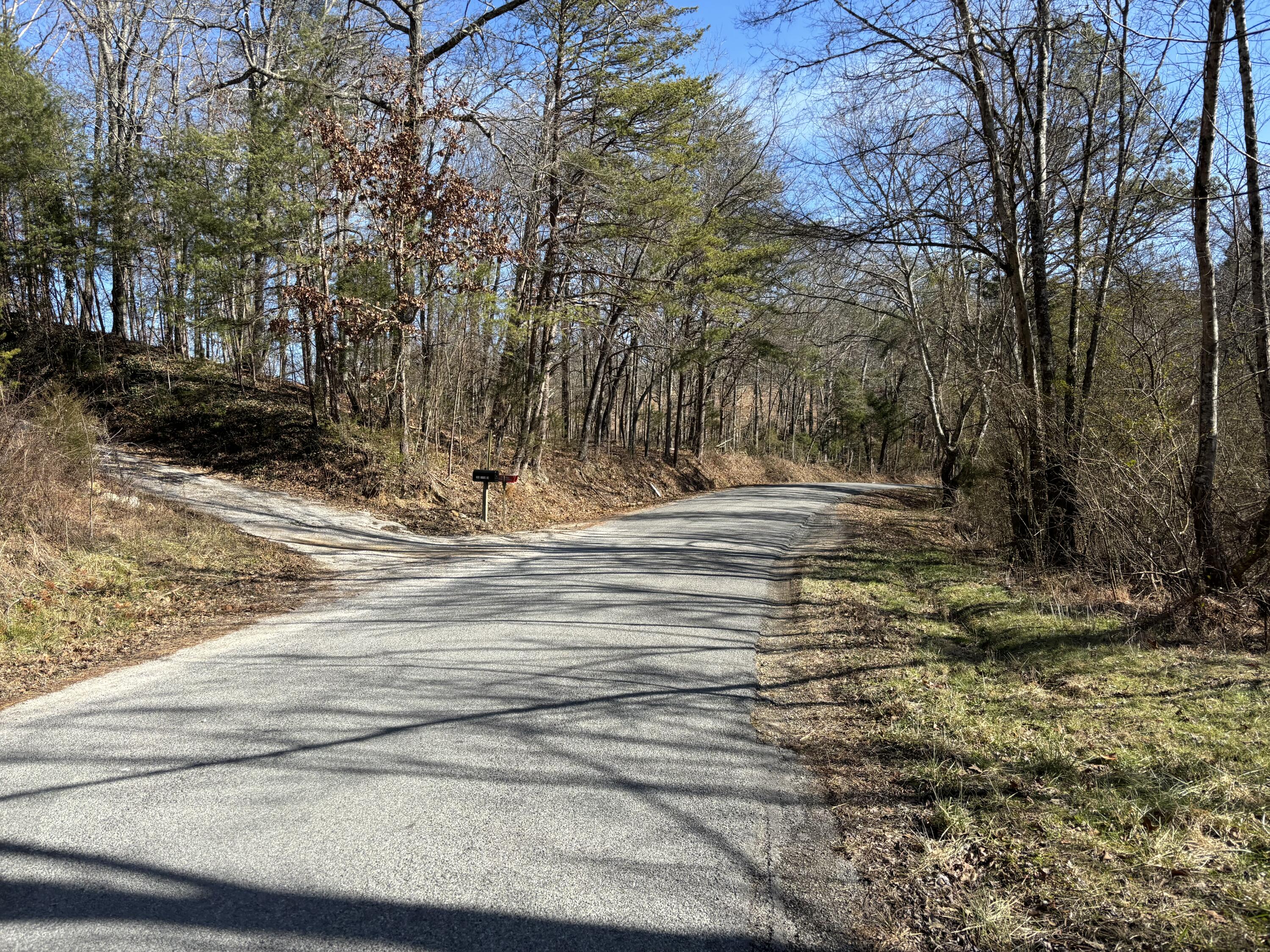 Dividing Ridge Road, Spring City, Tennessee image 22