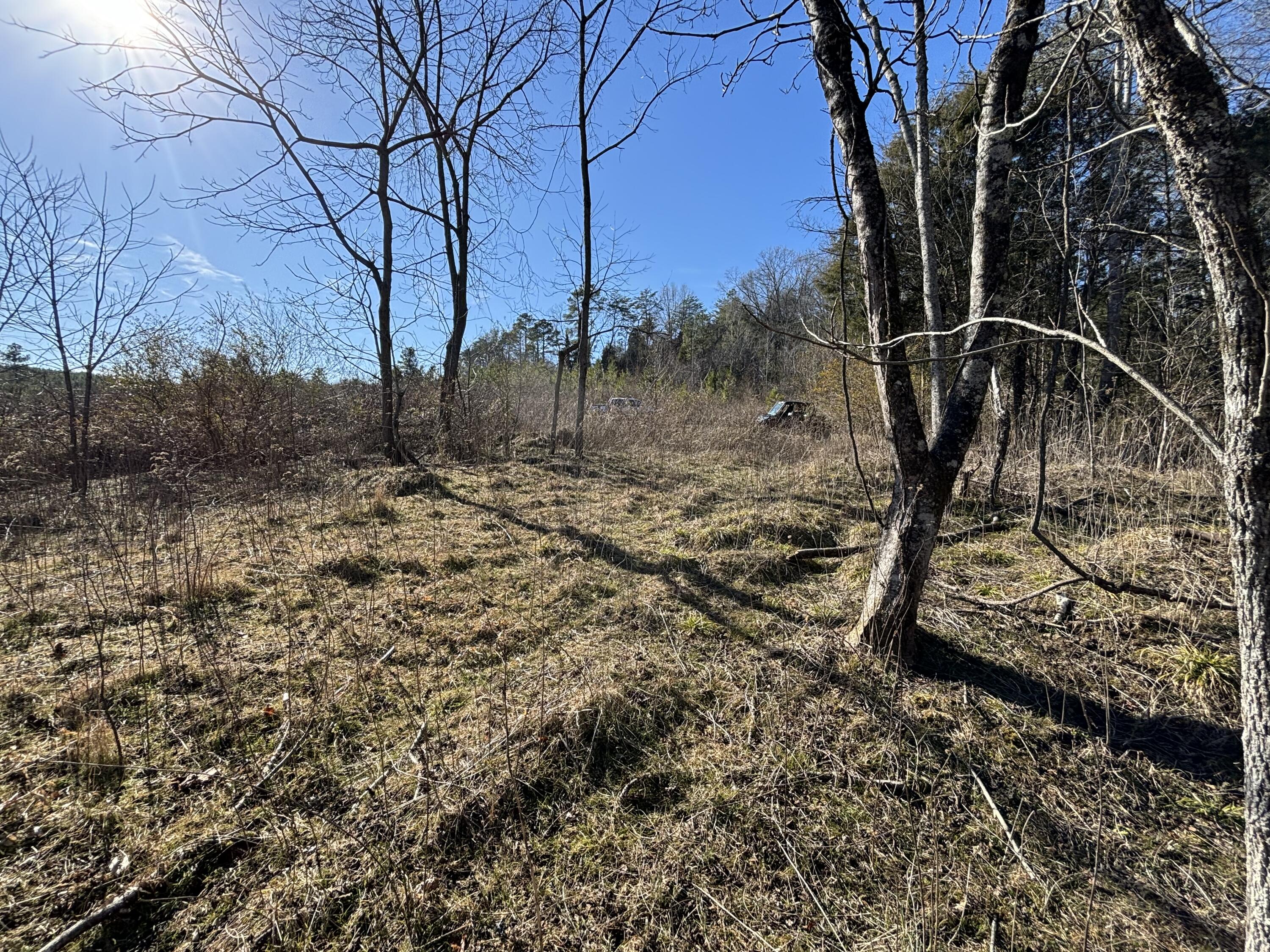 Dividing Ridge Road, Spring City, Tennessee image 33