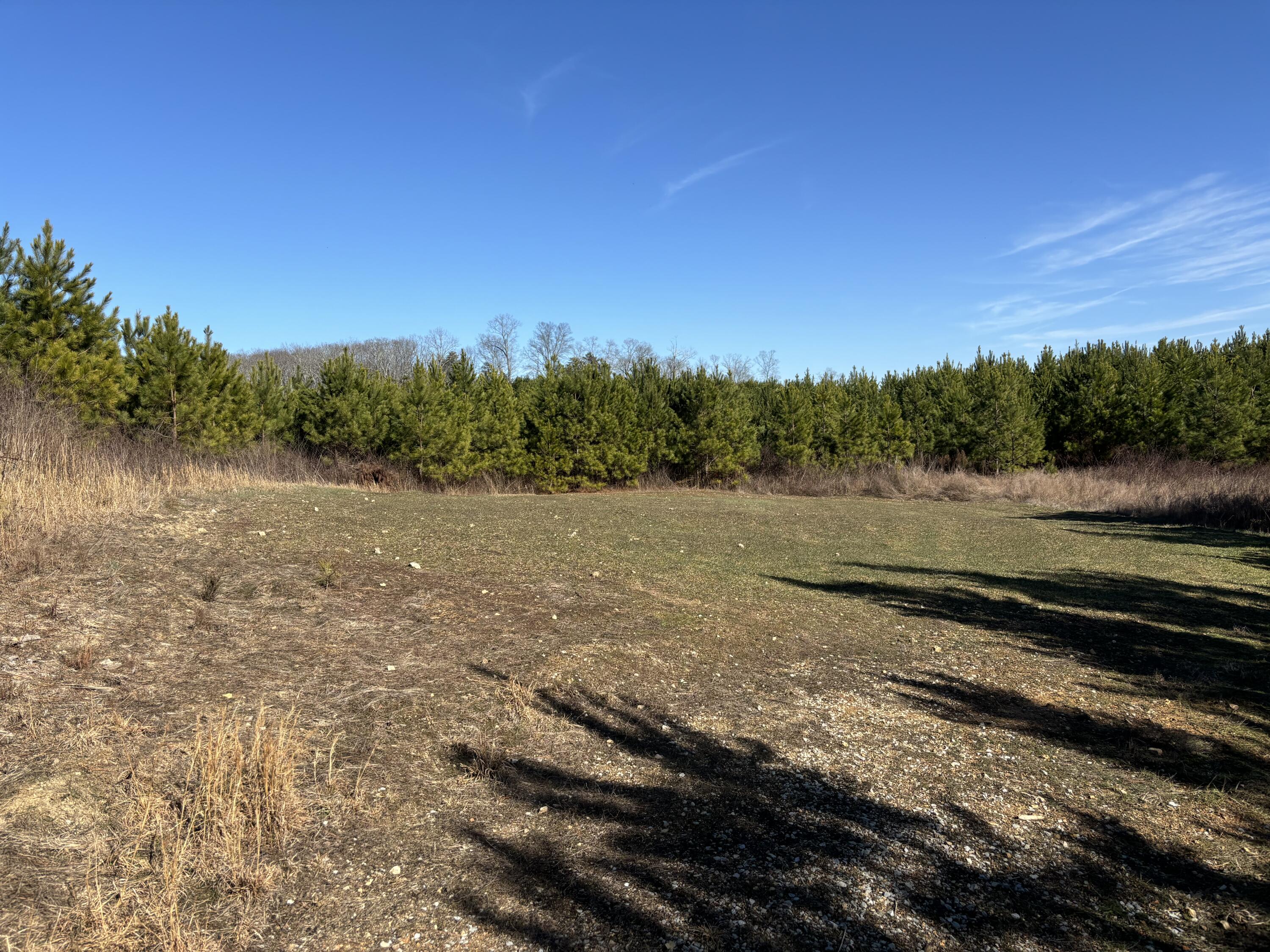Dividing Ridge Road, Spring City, Tennessee image 5