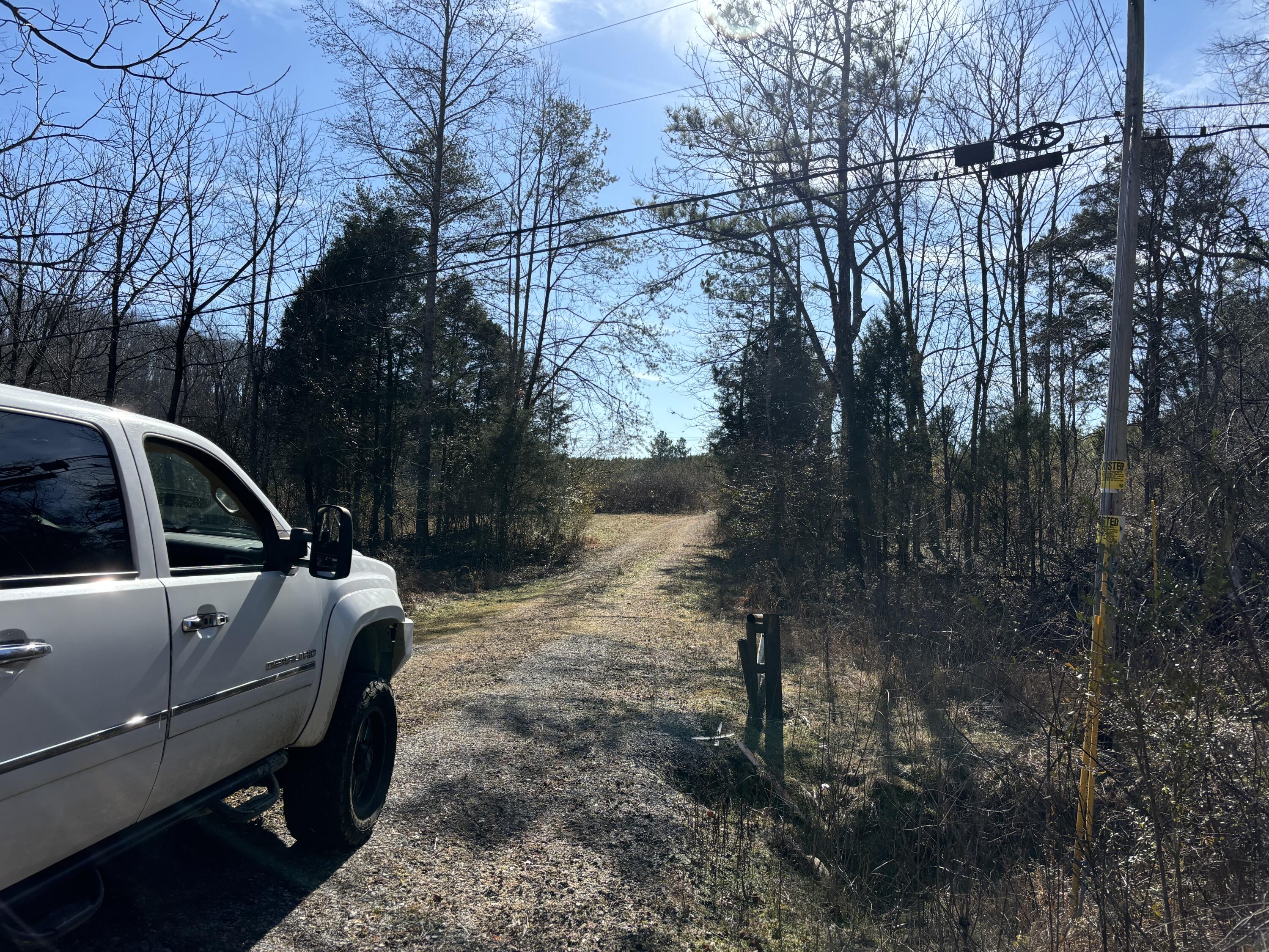 Dividing Ridge Road, Spring City, Tennessee image 6