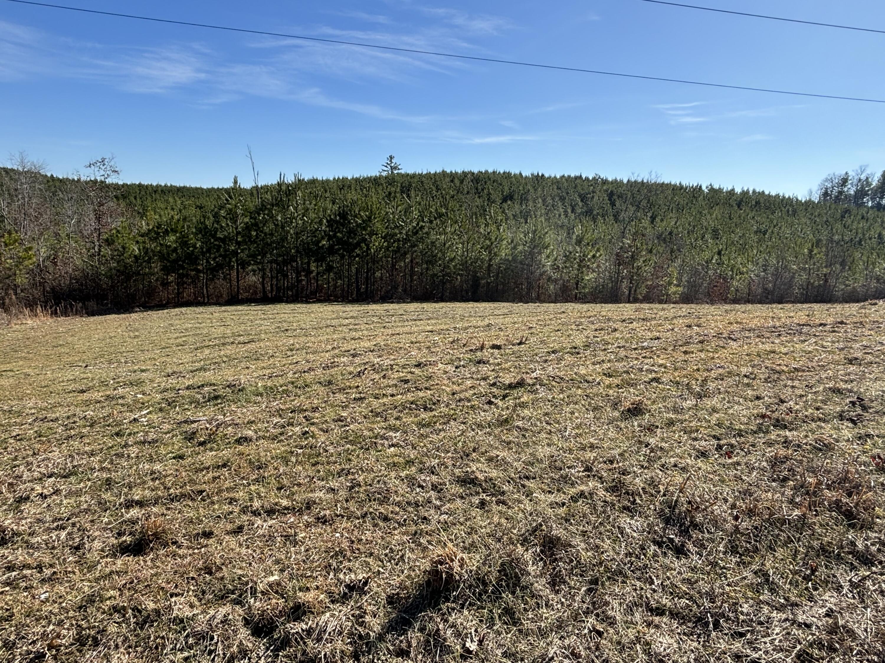 Dividing Ridge Road, Spring City, Tennessee image 10
