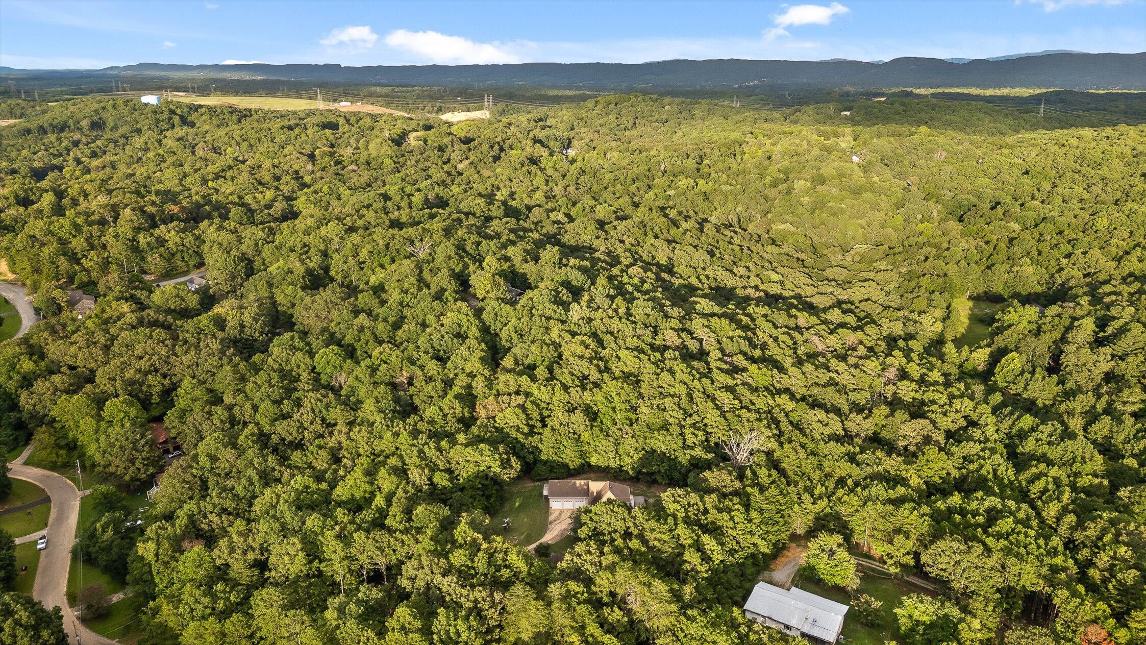 Harrison, Tennessee 37341, United States, 7 Bedrooms Bedrooms, ,7 BathroomsBathrooms,Residential,Active,192259