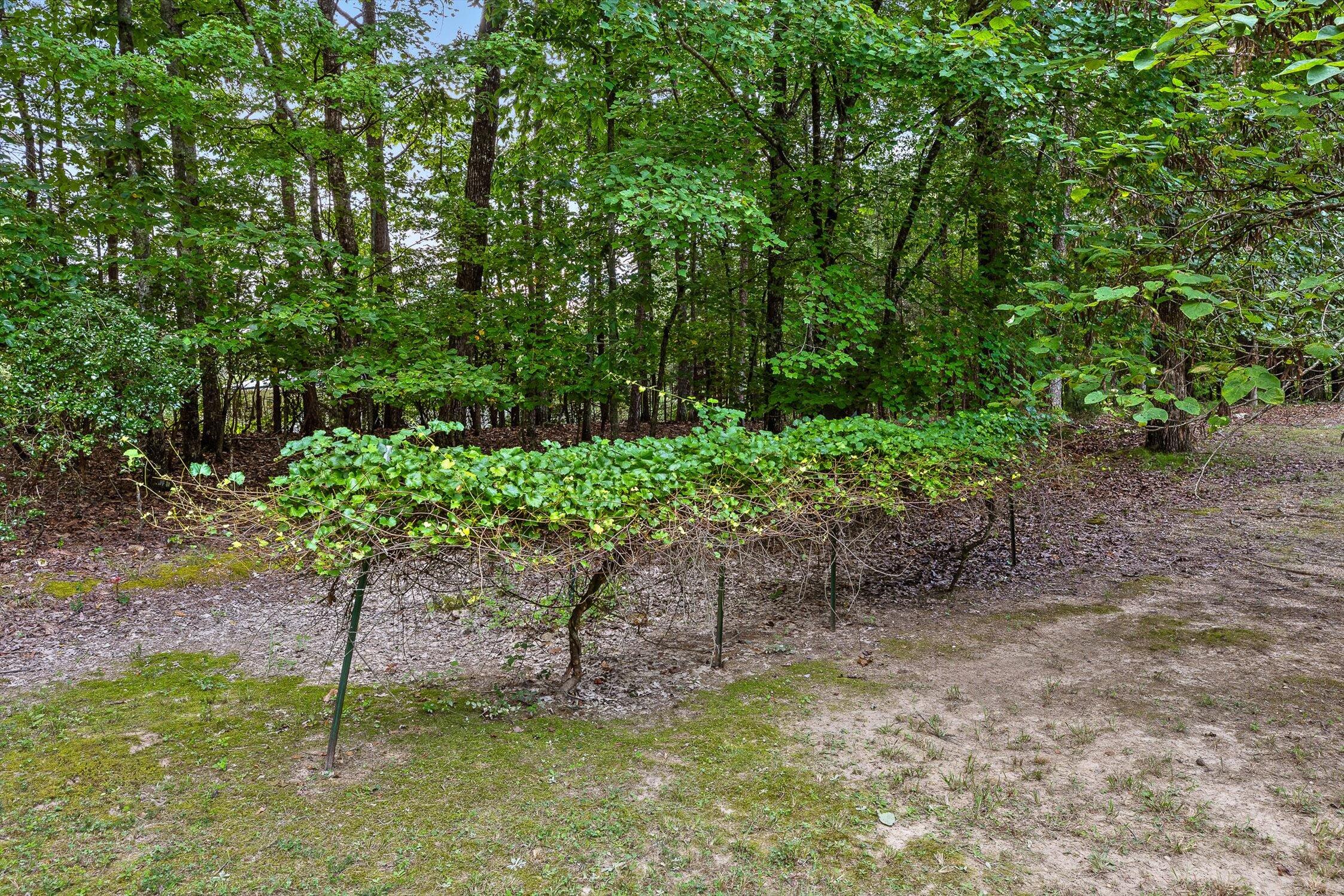 Harrison, Tennessee 37341, United States, 7 Bedrooms Bedrooms, ,7 BathroomsBathrooms,Residential,Active,192259