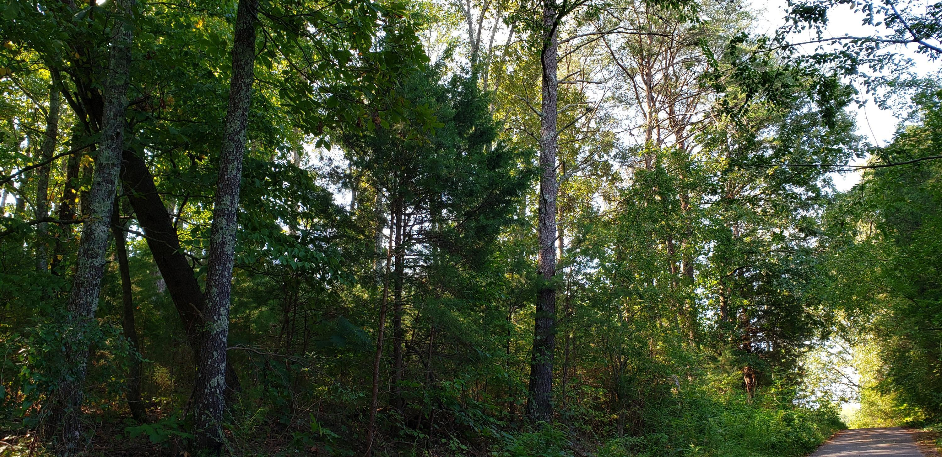 Treeline Drive #5, Dunlap, Tennessee image 2