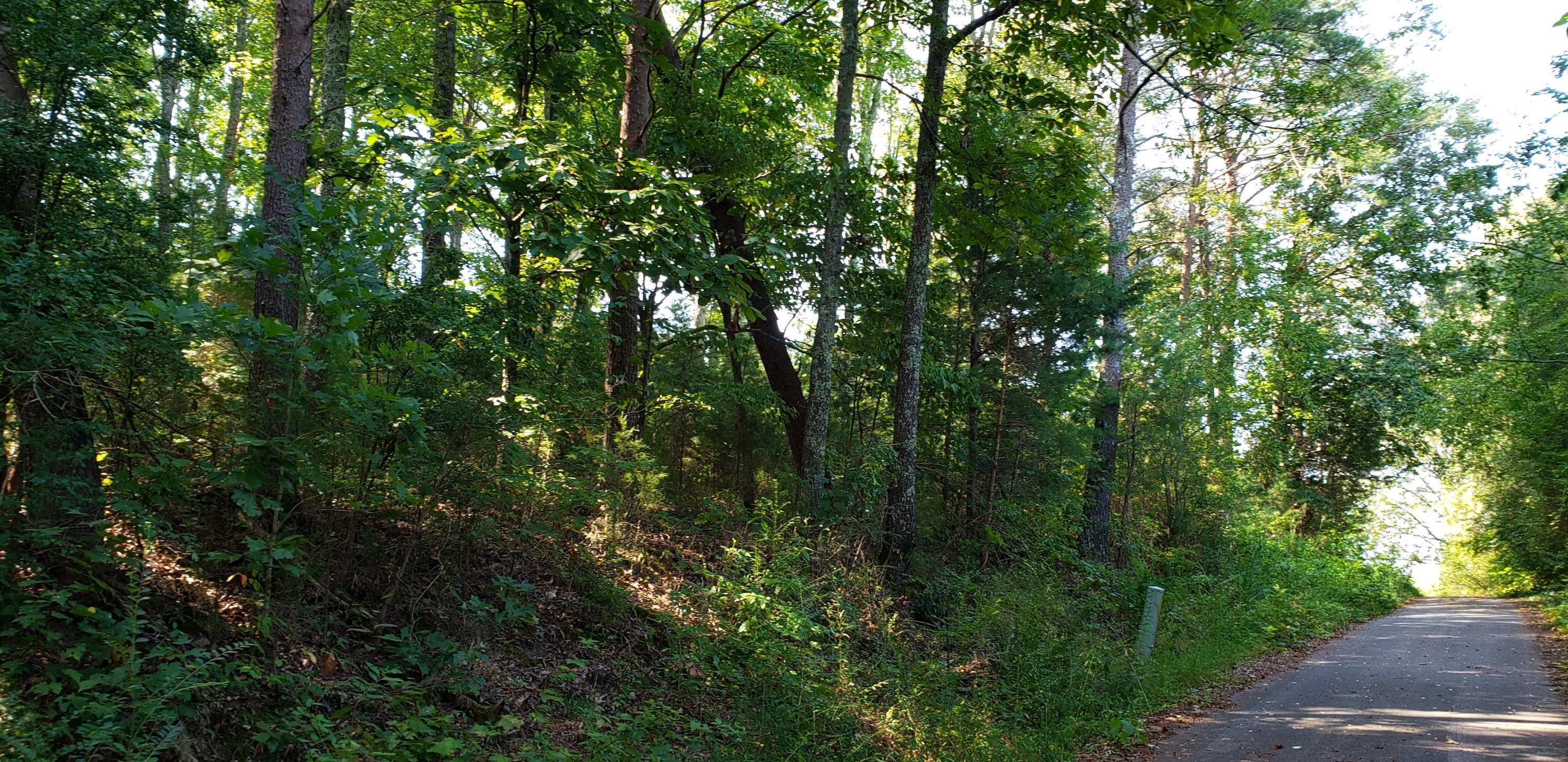Treeline Drive #5, Dunlap, Tennessee image 1