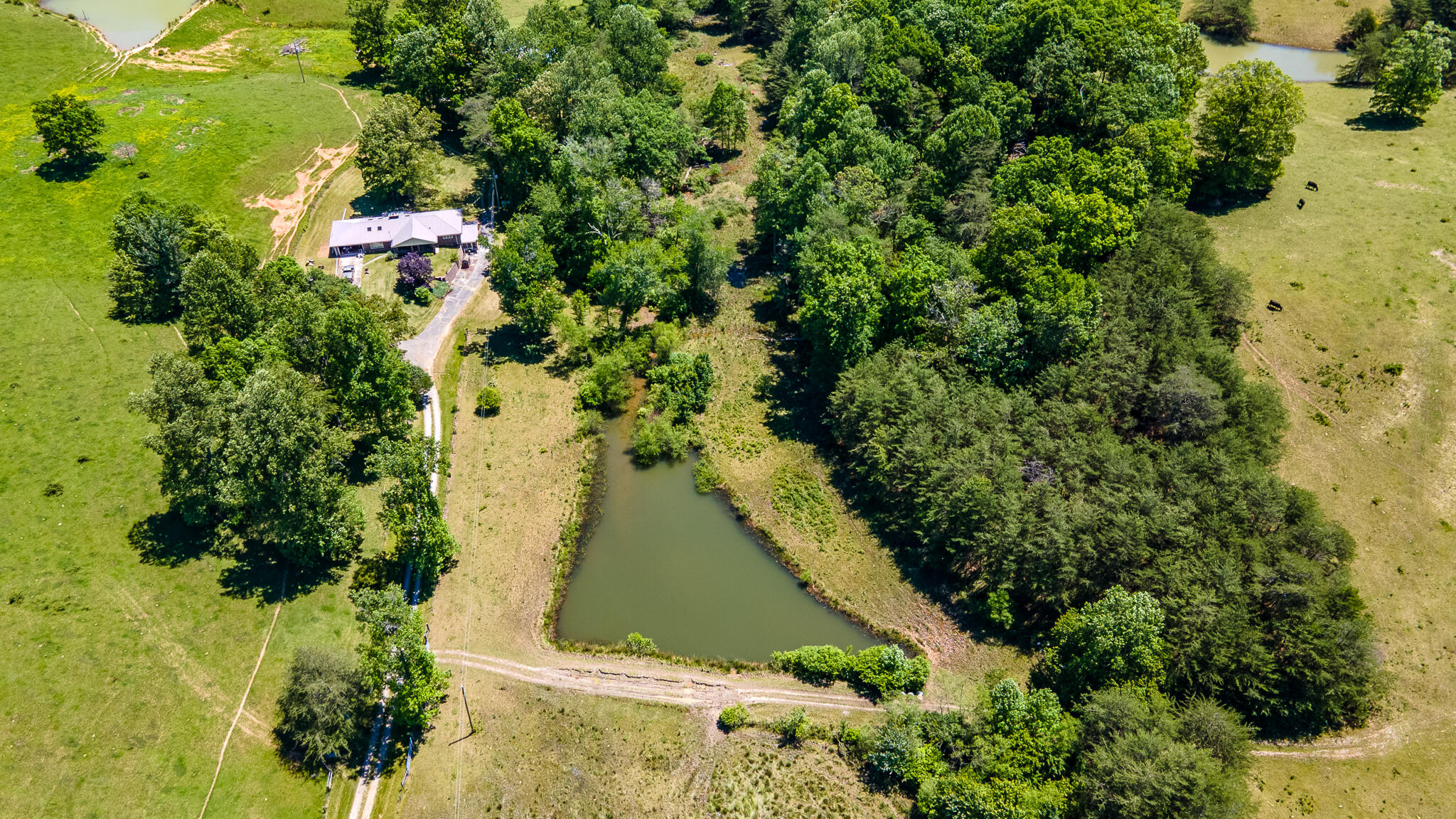 2216 Cove Hill Road, Pikeville, Tennessee image 43