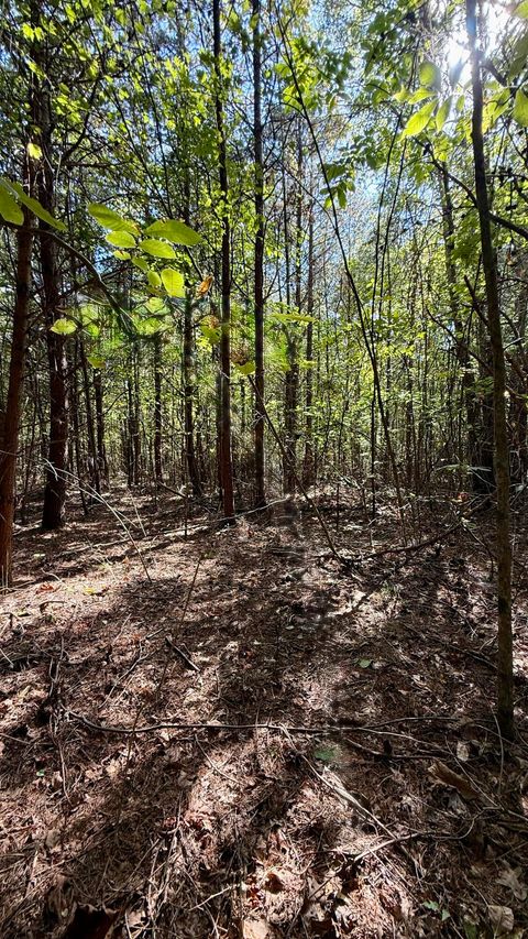 Photo of Oo Owl Hollow Road, Palmer, TN 37365 (MLS # 1521765)