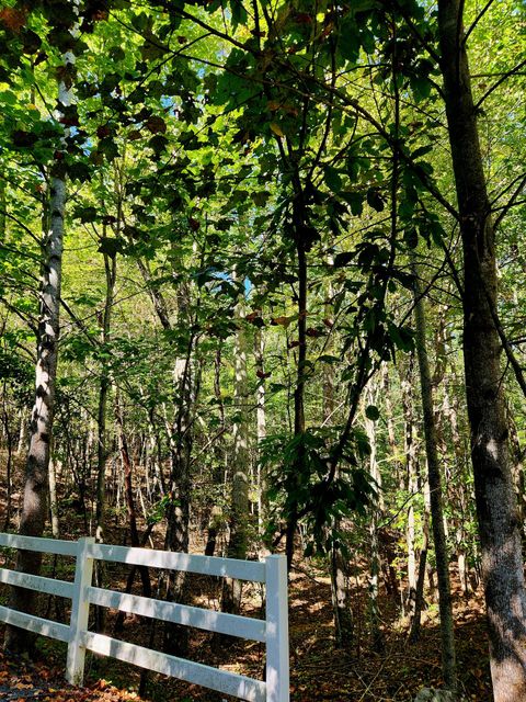 Vacant Land For Sale - Ridge Wood Lane<br/> Spencer, TN 38585