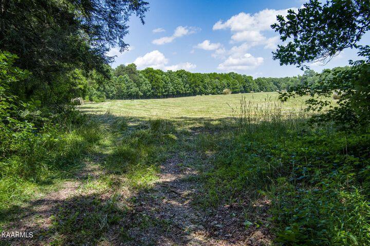 184 Old Wilder Road, Grimsley, Tennessee image 9