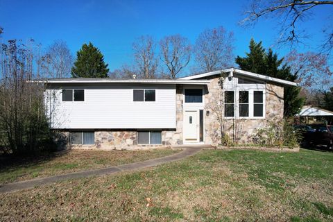 Photo of 607 Mountain Wood Drive, Hixson, TN 37343 (MLS # 1524907)