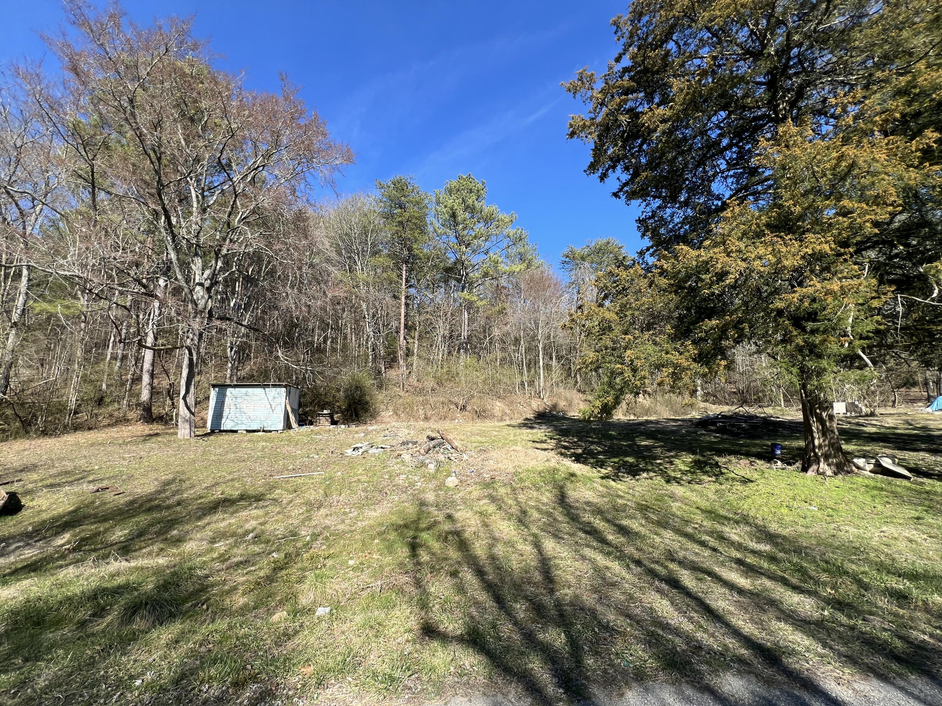 1779 Texas Grove Road, Evensville, Tennessee image 5