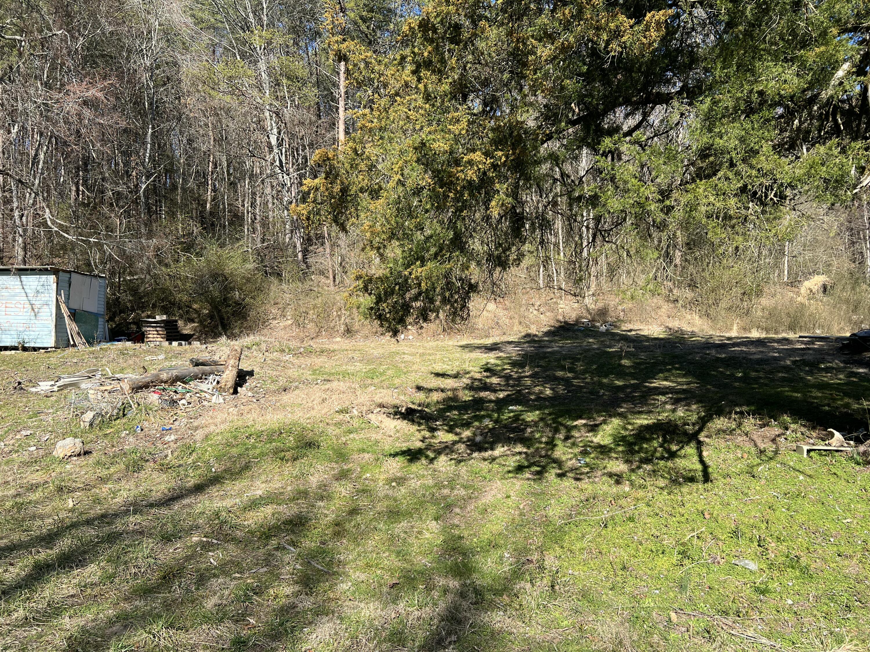 1779 Texas Grove Road, Evensville, Tennessee image 3
