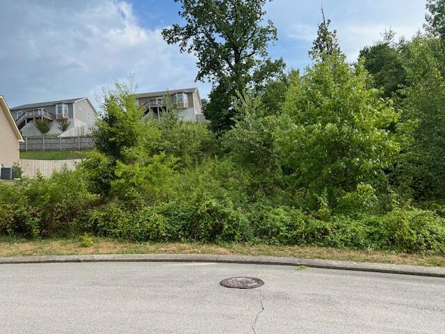 1698 Short Leaf Lane, Soddy Daisy, Tennessee image 1