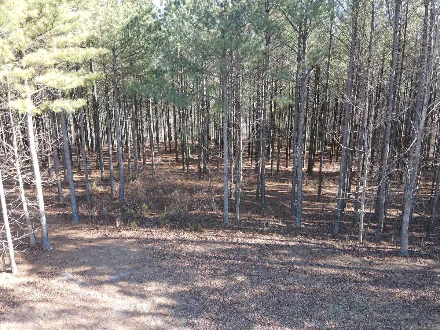 80 High Point Lane, Jasper, Tennessee image 9