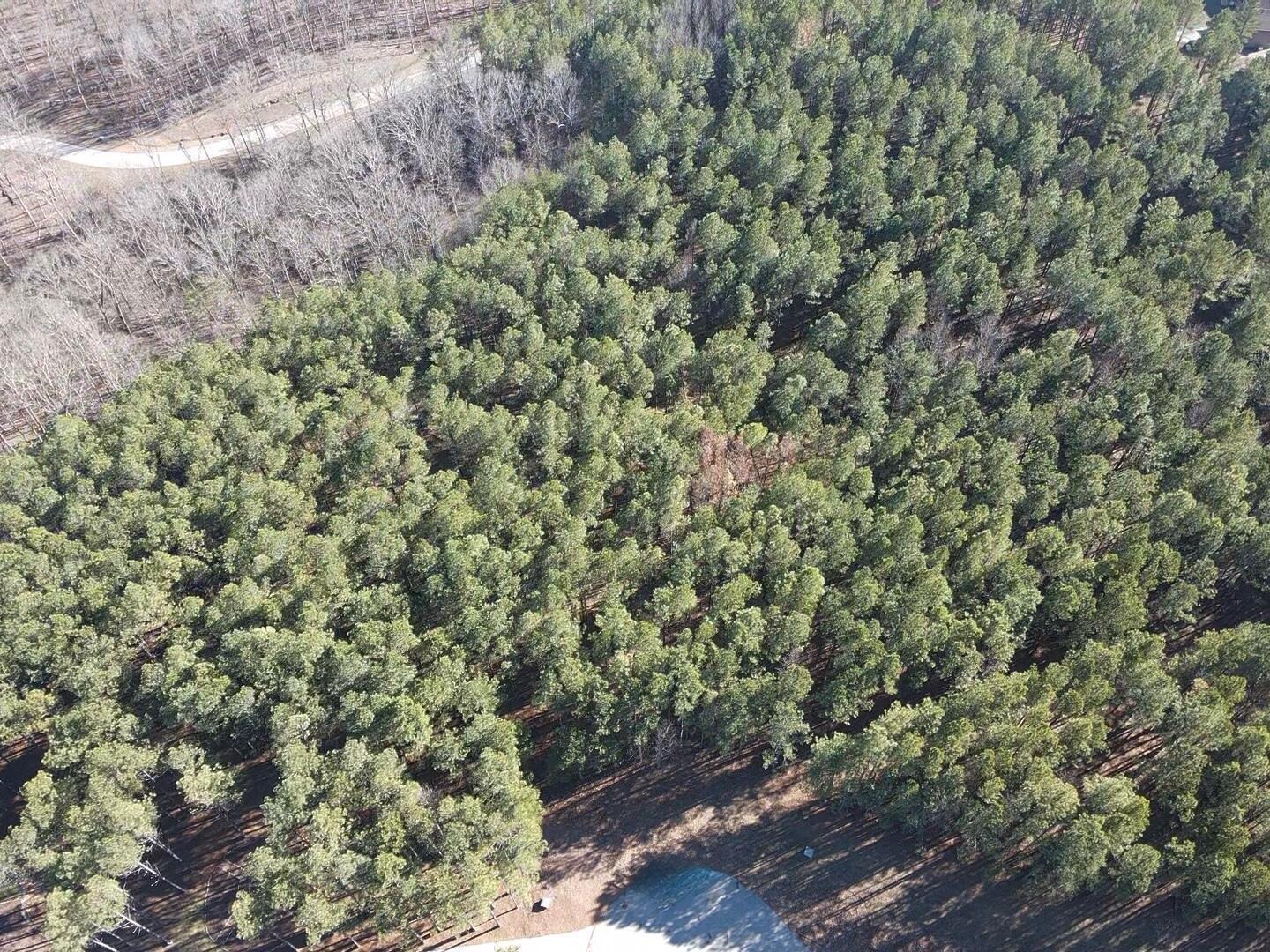 80 High Point Lane, Jasper, Tennessee image 10