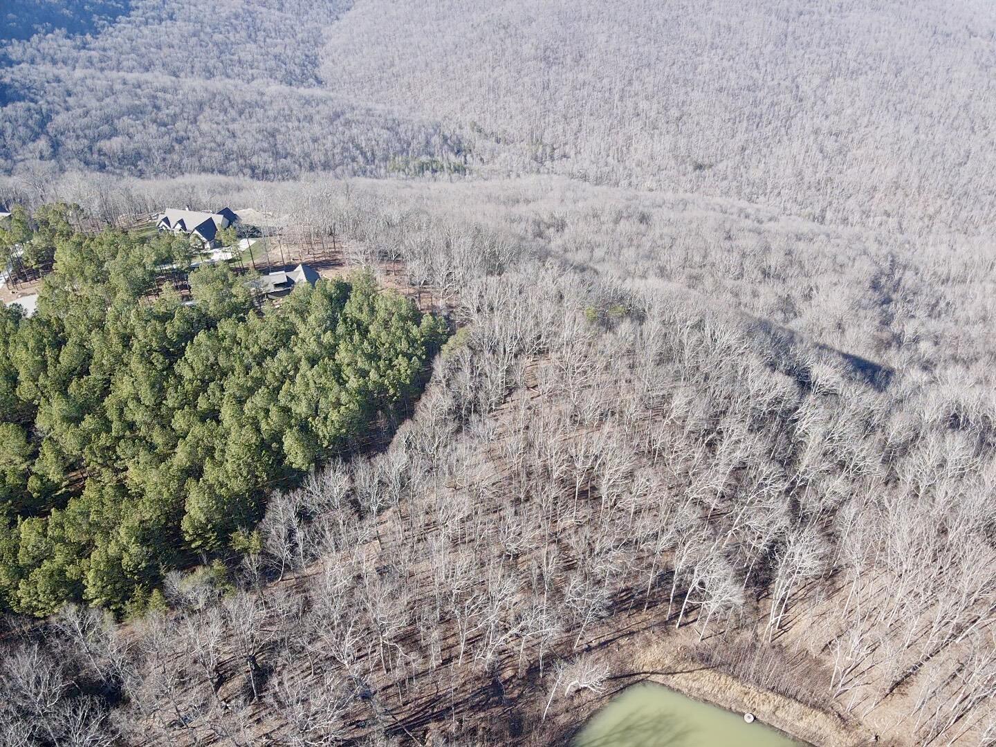 80 High Point Lane, Jasper, Tennessee image 14