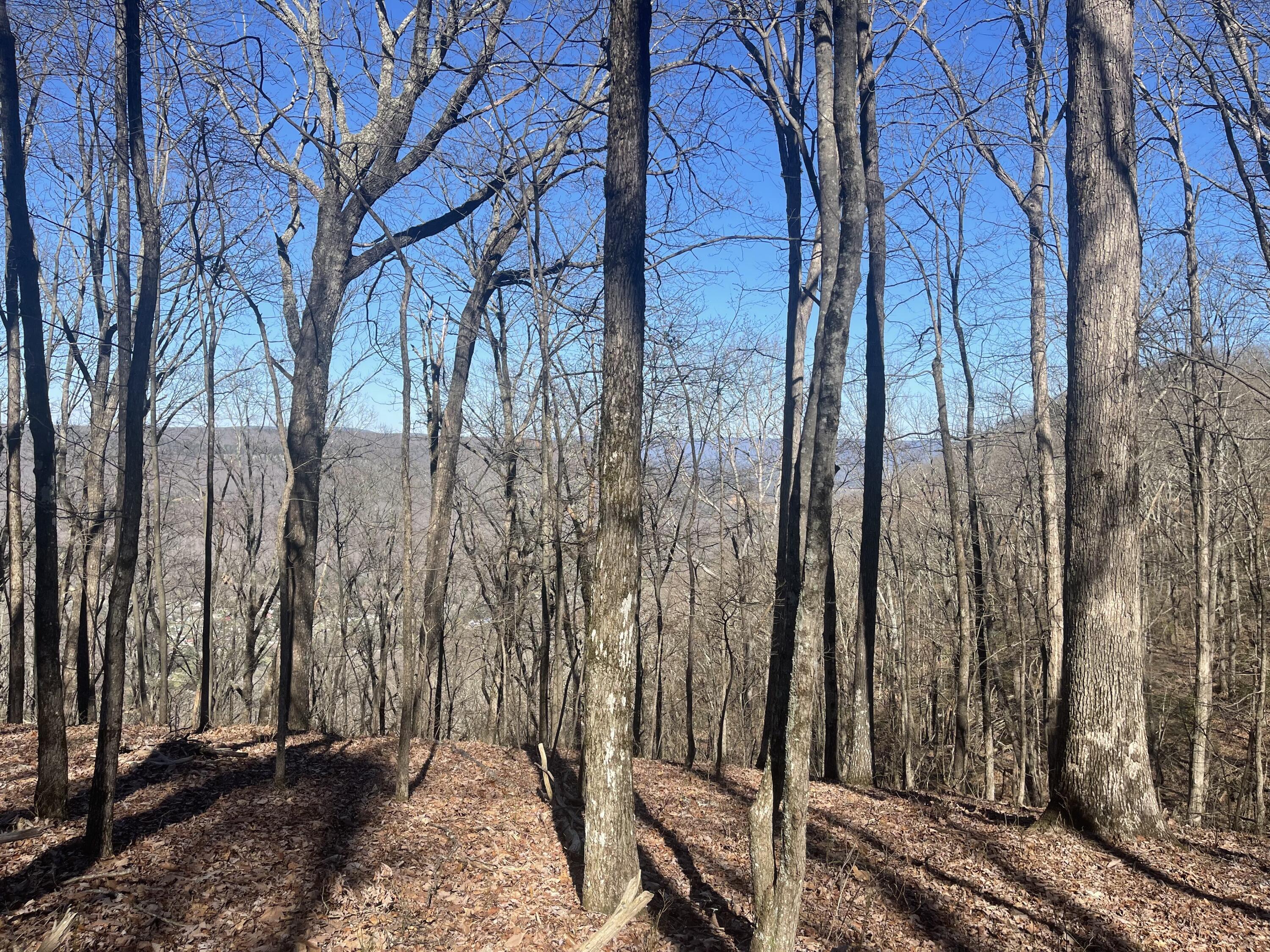 80 High Point Lane, Jasper, Tennessee image 20