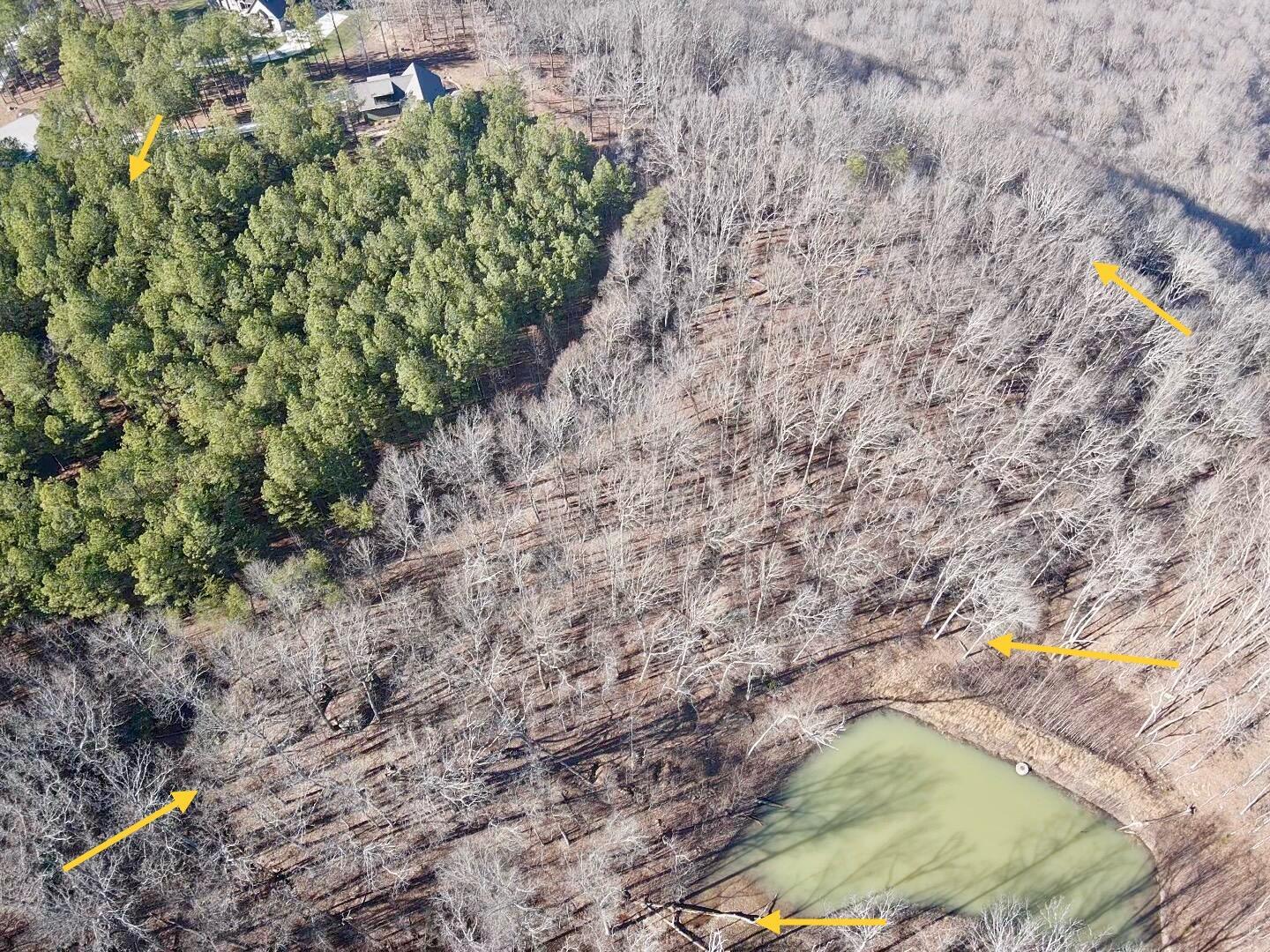 80 High Point Lane, Jasper, Tennessee image 5