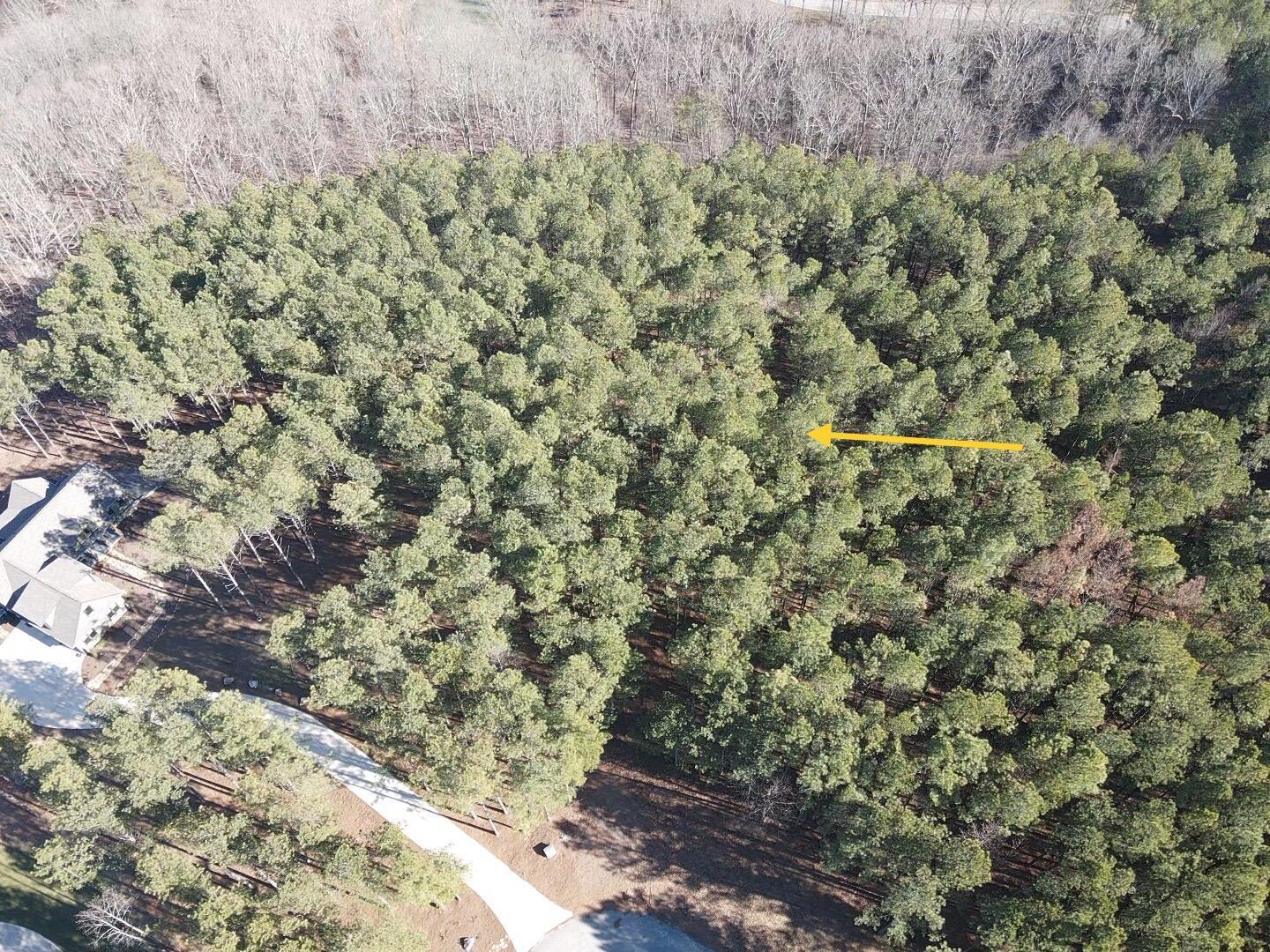 80 High Point Lane, Jasper, Tennessee image 6