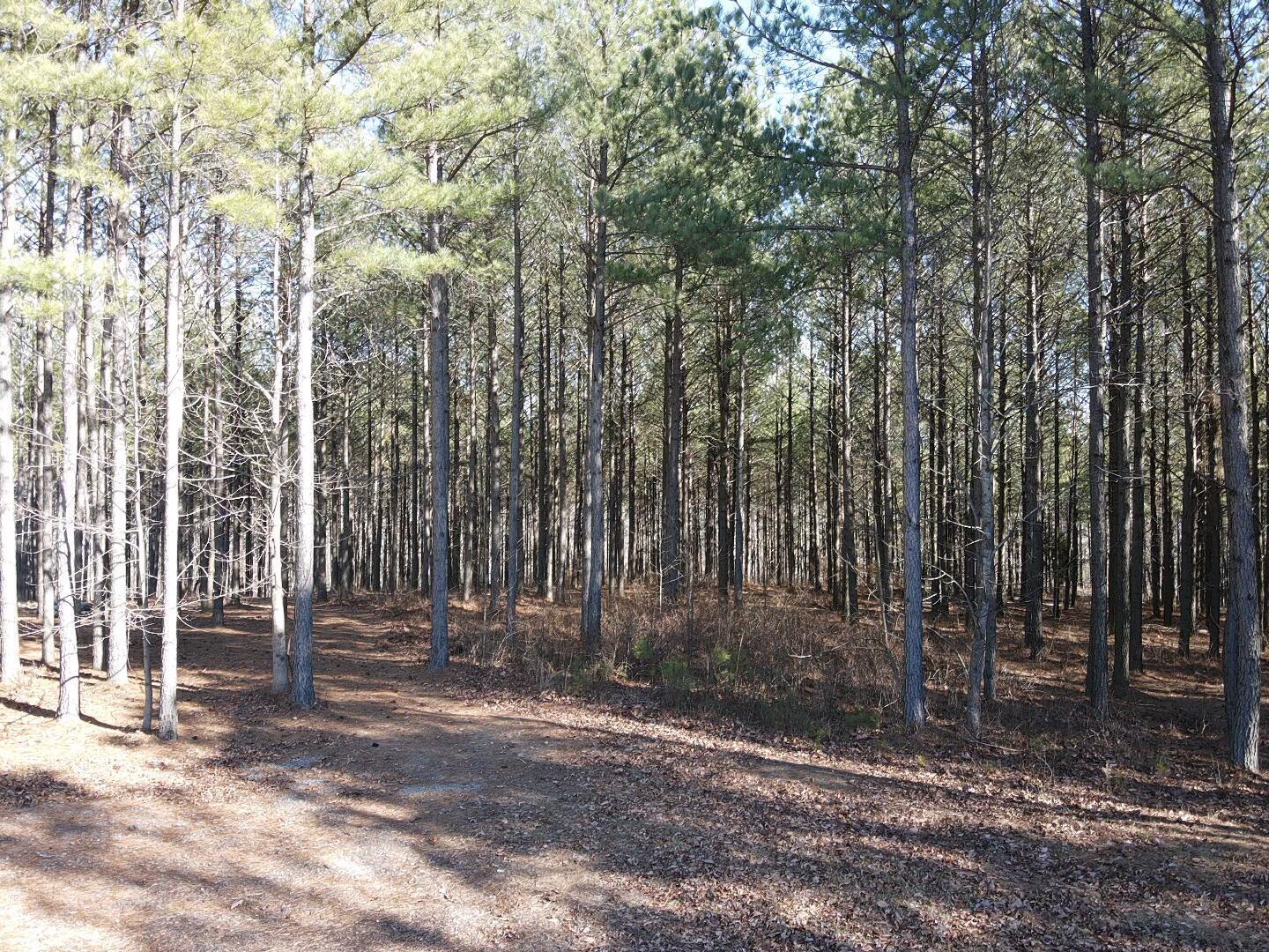 80 High Point Lane, Jasper, Tennessee image 16