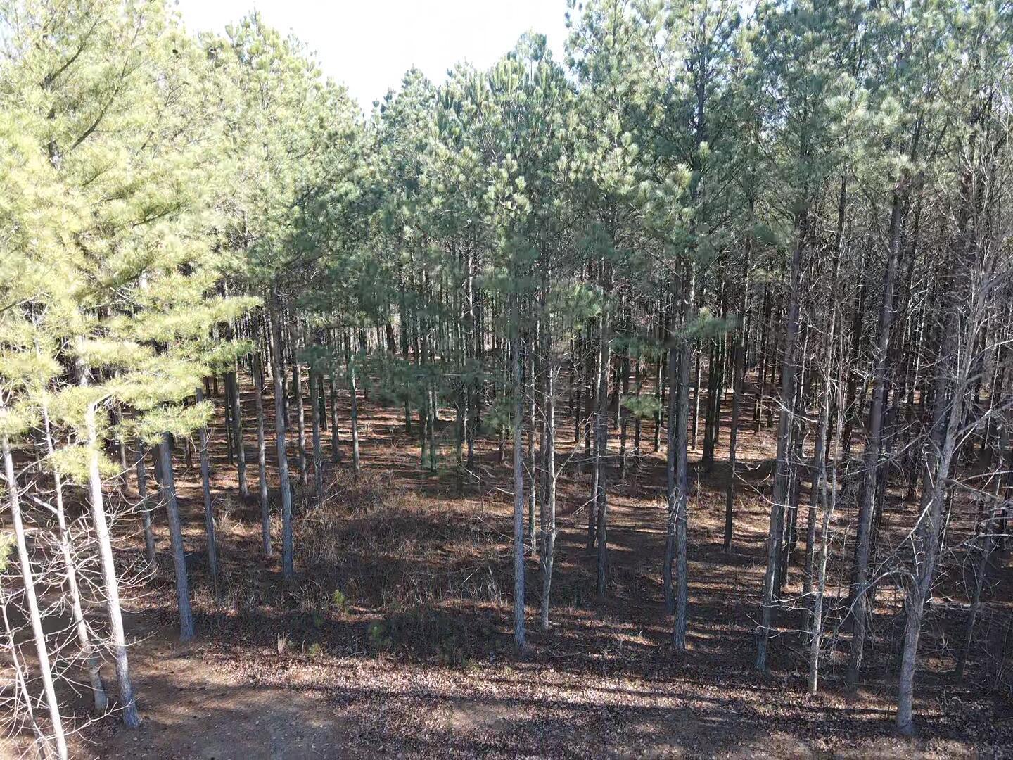 80 High Point Lane, Jasper, Tennessee image 8
