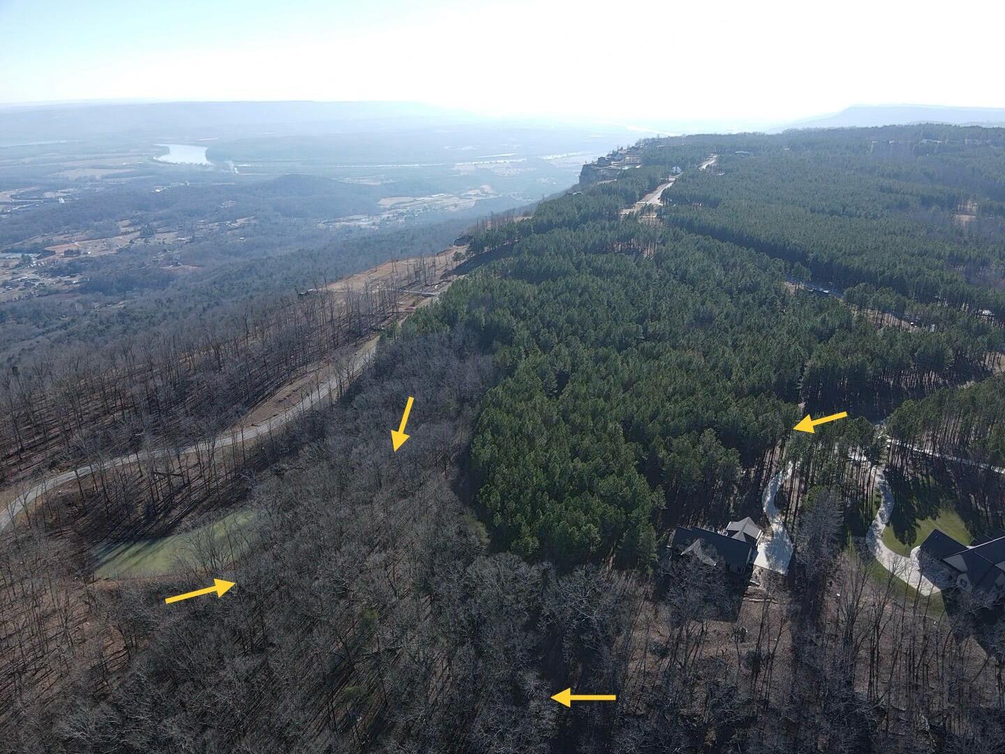 80 High Point Lane, Jasper, Tennessee image 4