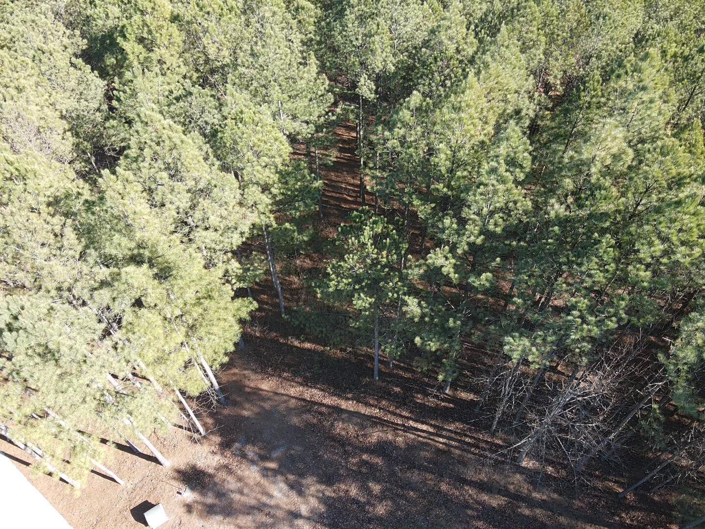 80 High Point Lane, Jasper, Tennessee image 15