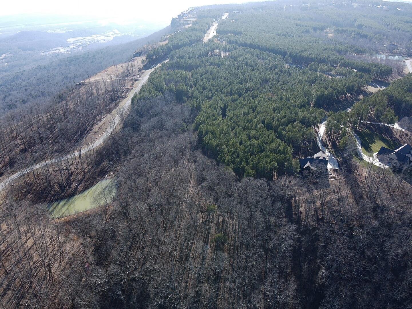 80 High Point Lane, Jasper, Tennessee image 17