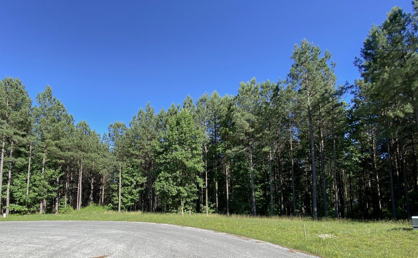 80 High Point Lane, Jasper, Tennessee image 25