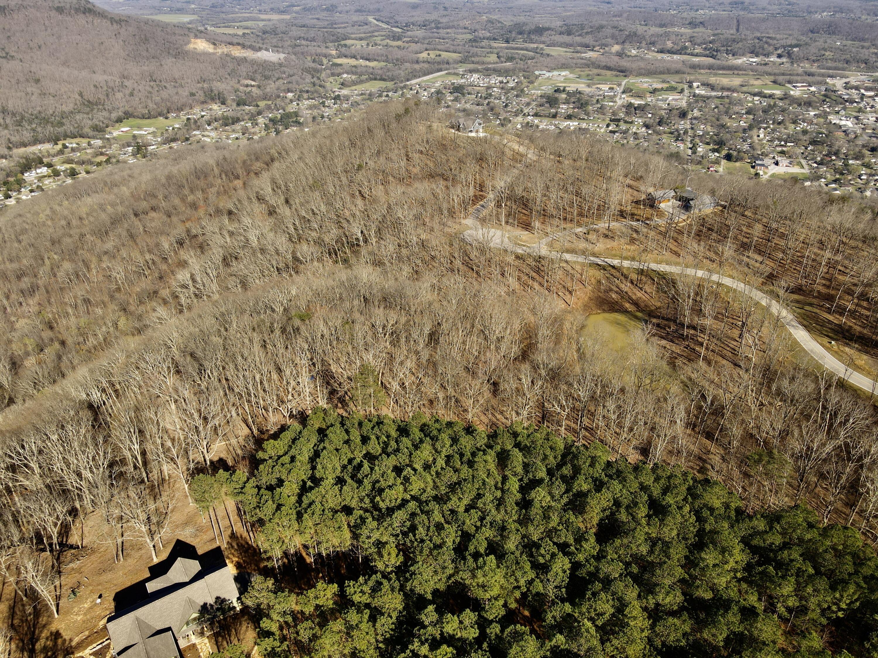 80 High Point Lane, Jasper, Tennessee image 2