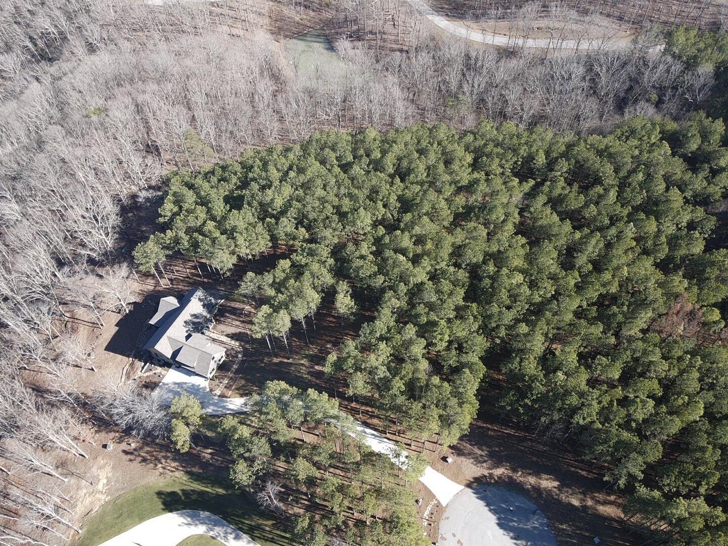 80 High Point Lane, Jasper, Tennessee image 11