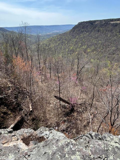 Photo of 4093 Raulston Falls Road, Jasper, TN 37347 (MLS # 1510929)