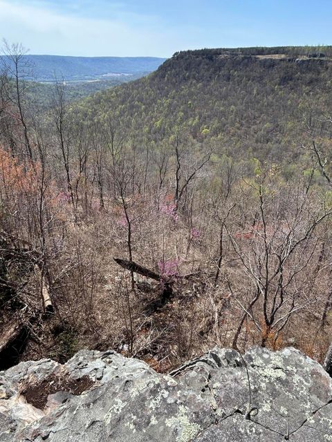 Tiny photo for 4093 Raulston Falls Road, Jasper, TN 37347 (MLS # 1510929)