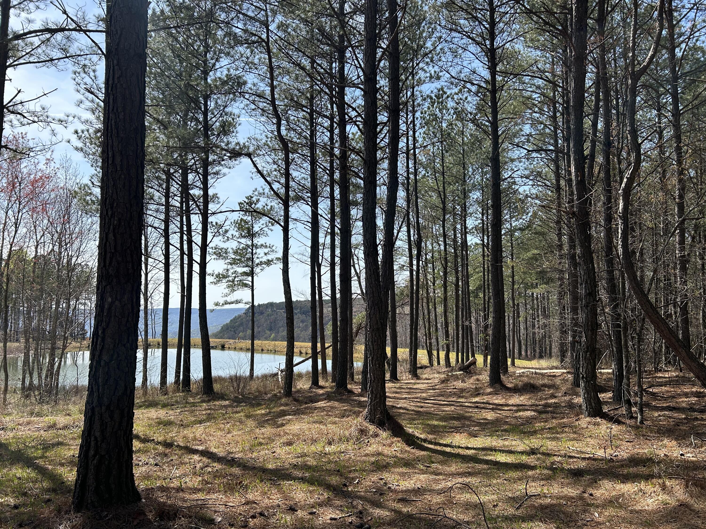 4093 Raulston Falls Road #27 A-S, Jasper, Tennessee image 3