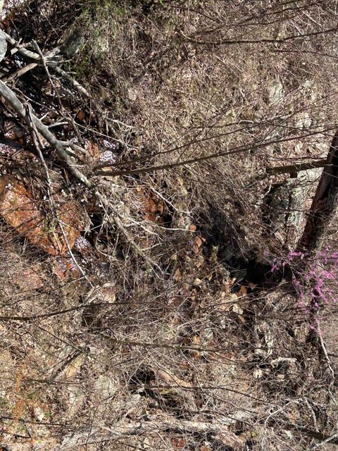 Tiny photo for 4093 Raulston Falls Road, Jasper, TN 37347 (MLS # 1510929)