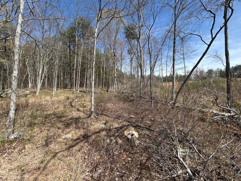 Tiny photo for 4093 Raulston Falls Road, Jasper, TN 37347 (MLS # 1510929)