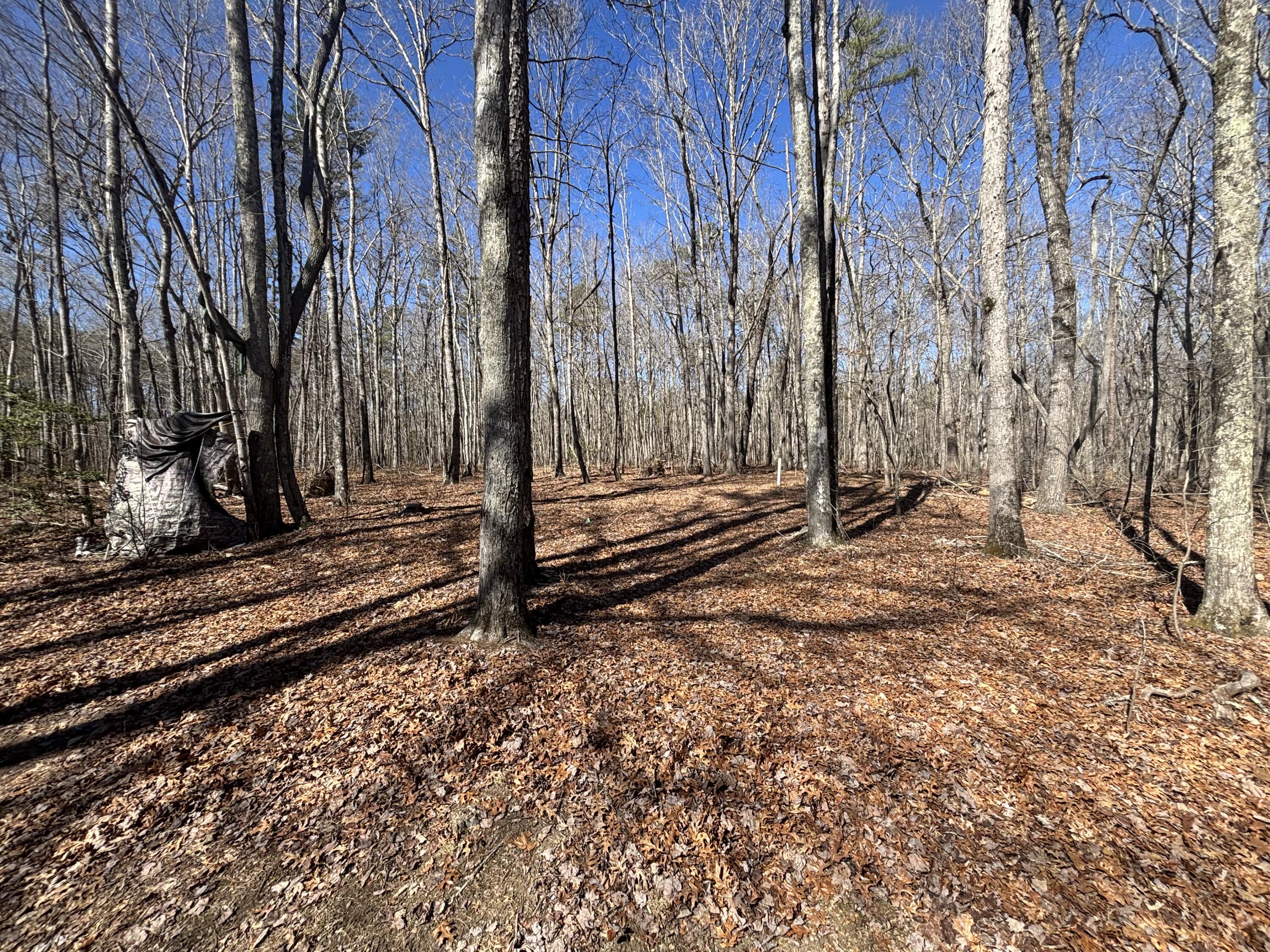 00 Young Road, Soddy Daisy, Tennessee image 8