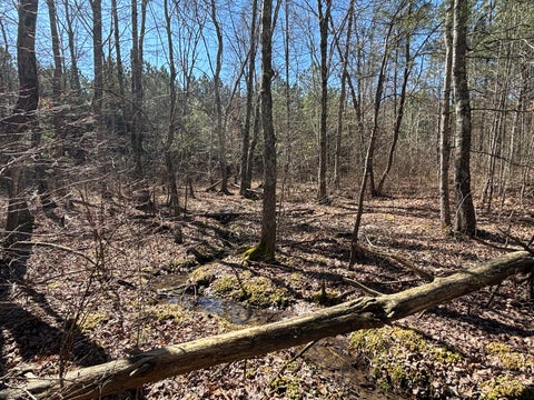 Vacant Land For Sale - 9 Hwy 399 Road<br/> Dunlap, TN 37327