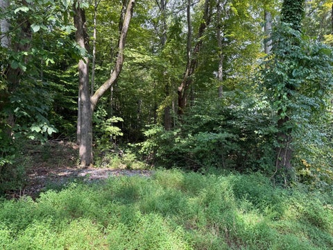 Vacant Land For Sale - 64 Riddle Street<br/> Dayton, TN 37321