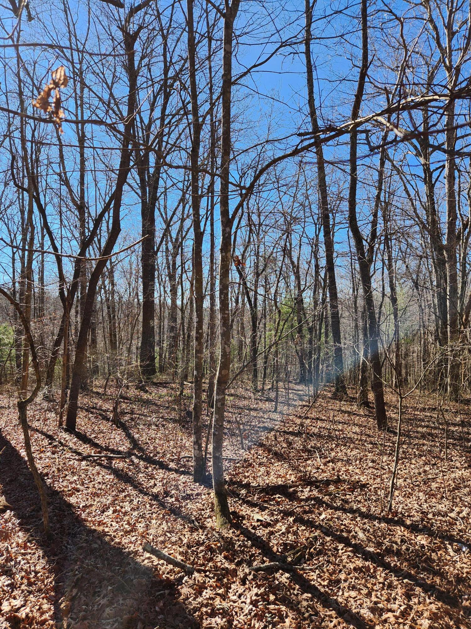 22 Devon Loop #22, Crossville, Tennessee image 1