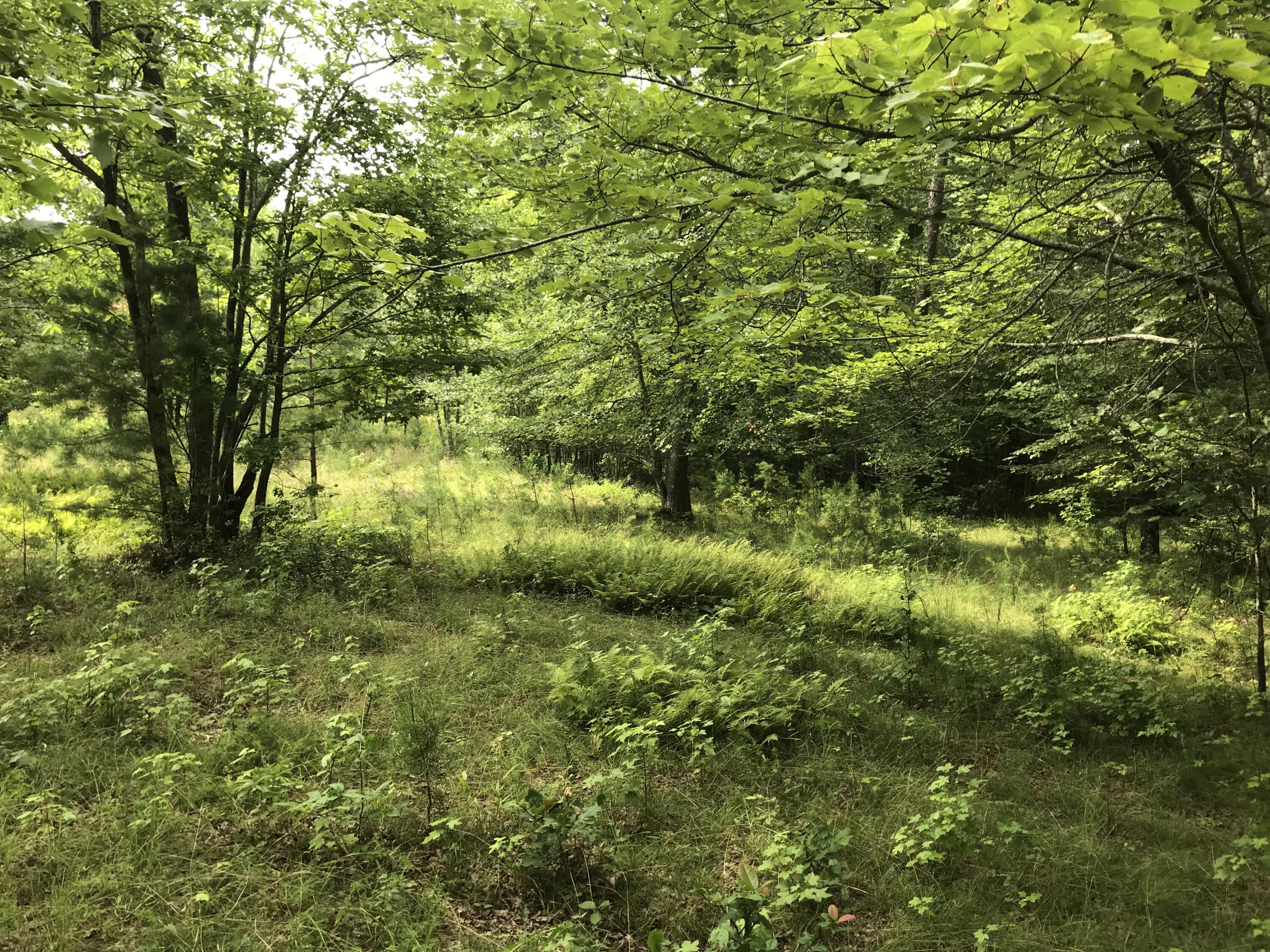 6-C Greenfields Way N #6-C, Dunlap, Tennessee image 37