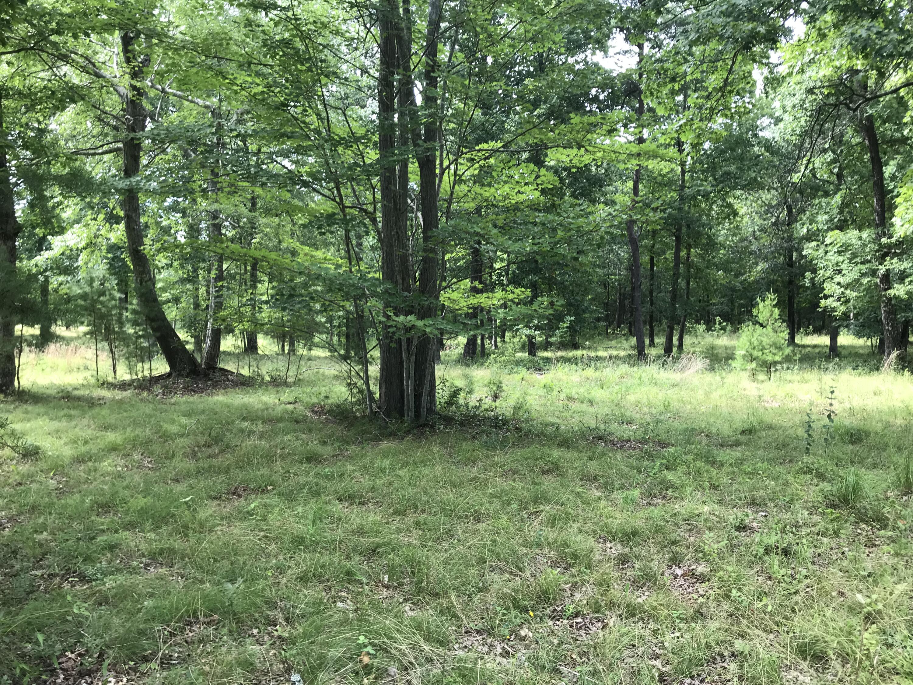 6-C Greenfields Way N #6-C, Dunlap, Tennessee image 11