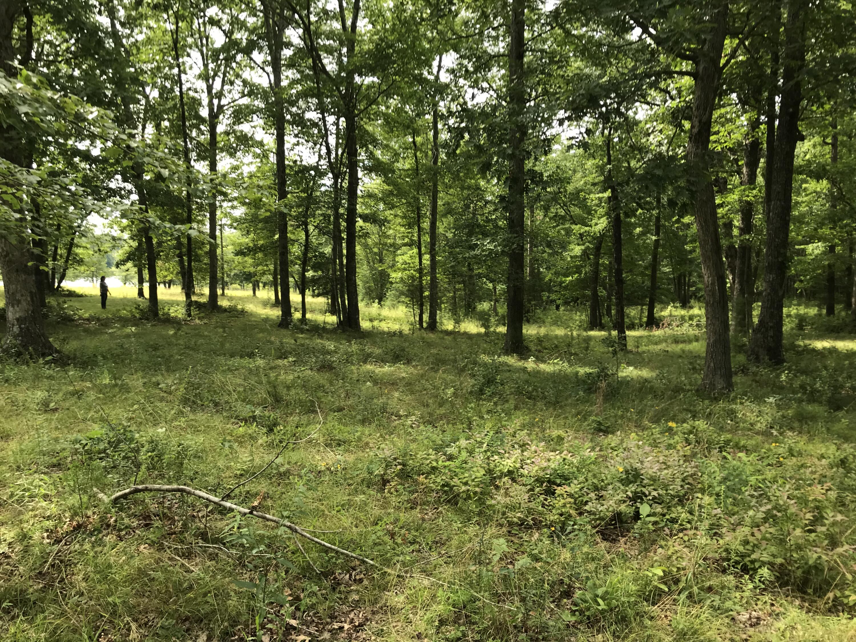 6-C Greenfields Way N #6-C, Dunlap, Tennessee image 30