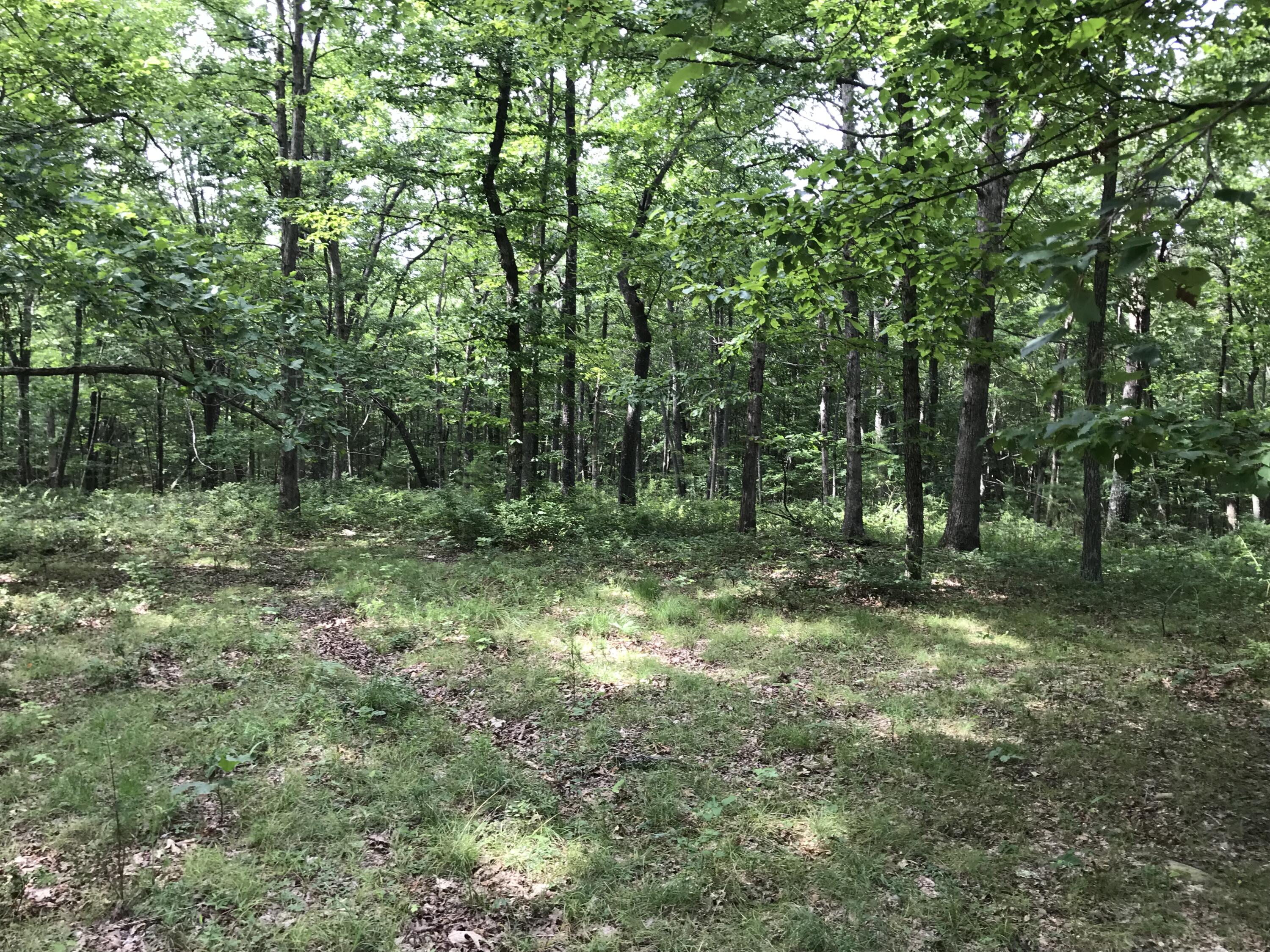 6-C Greenfields Way N #6-C, Dunlap, Tennessee image 48