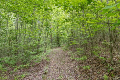 Photo of 0 Rock Avenue End Of Avenue, Palmer, TN 37365 (MLS # 1513066)