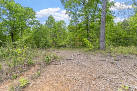 Tiny photo for 0 Rock Avenue End Of Avenue, Palmer, TN 37365 (MLS # 1513066)