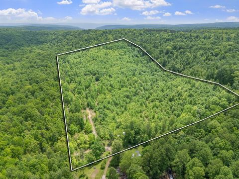 Tiny photo for 0 Rock Avenue End Of Avenue, Palmer, TN 37365 (MLS # 1513066)