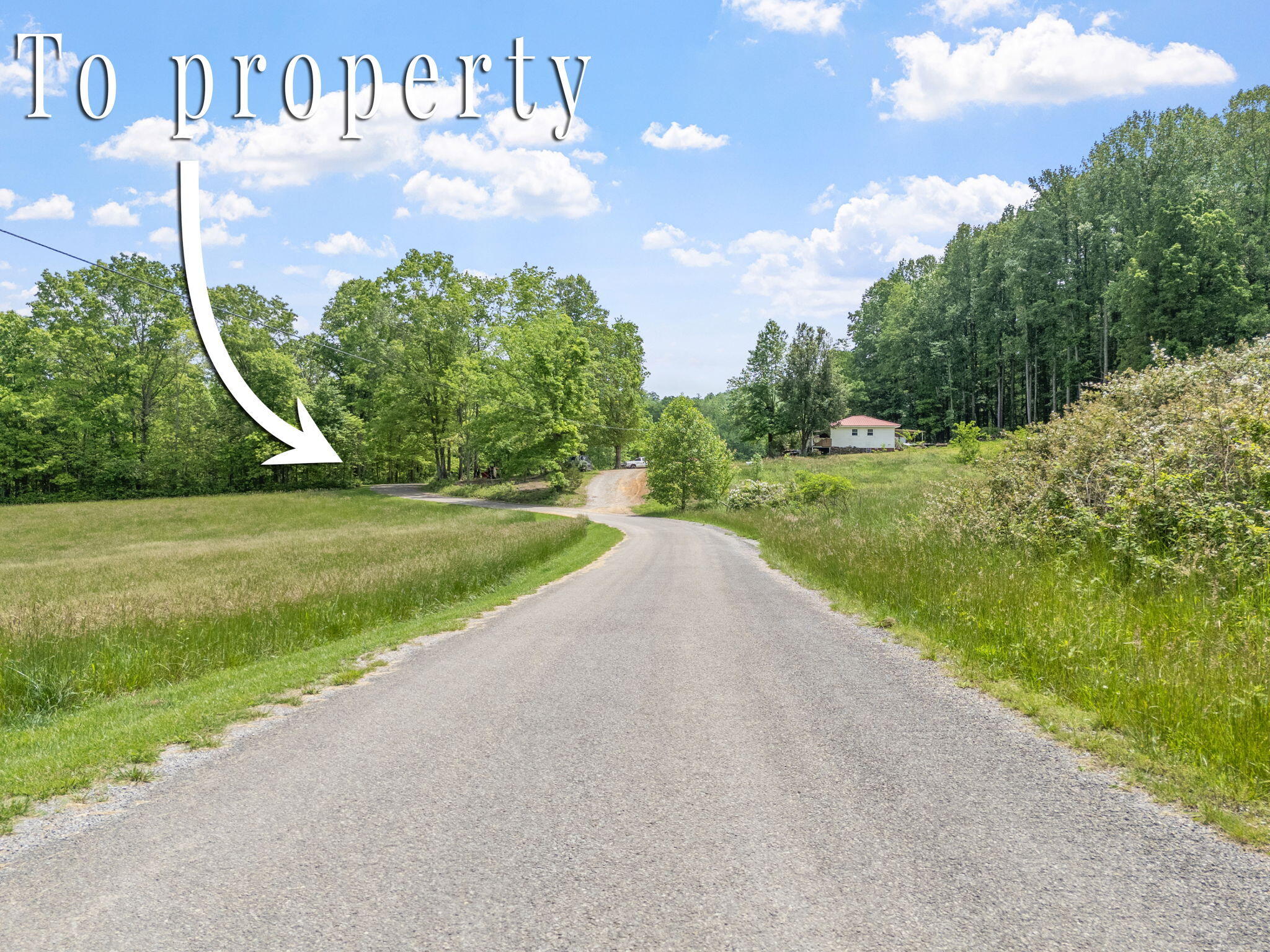 Rock Avenue End Of Avenue, Palmer, Tennessee image 8