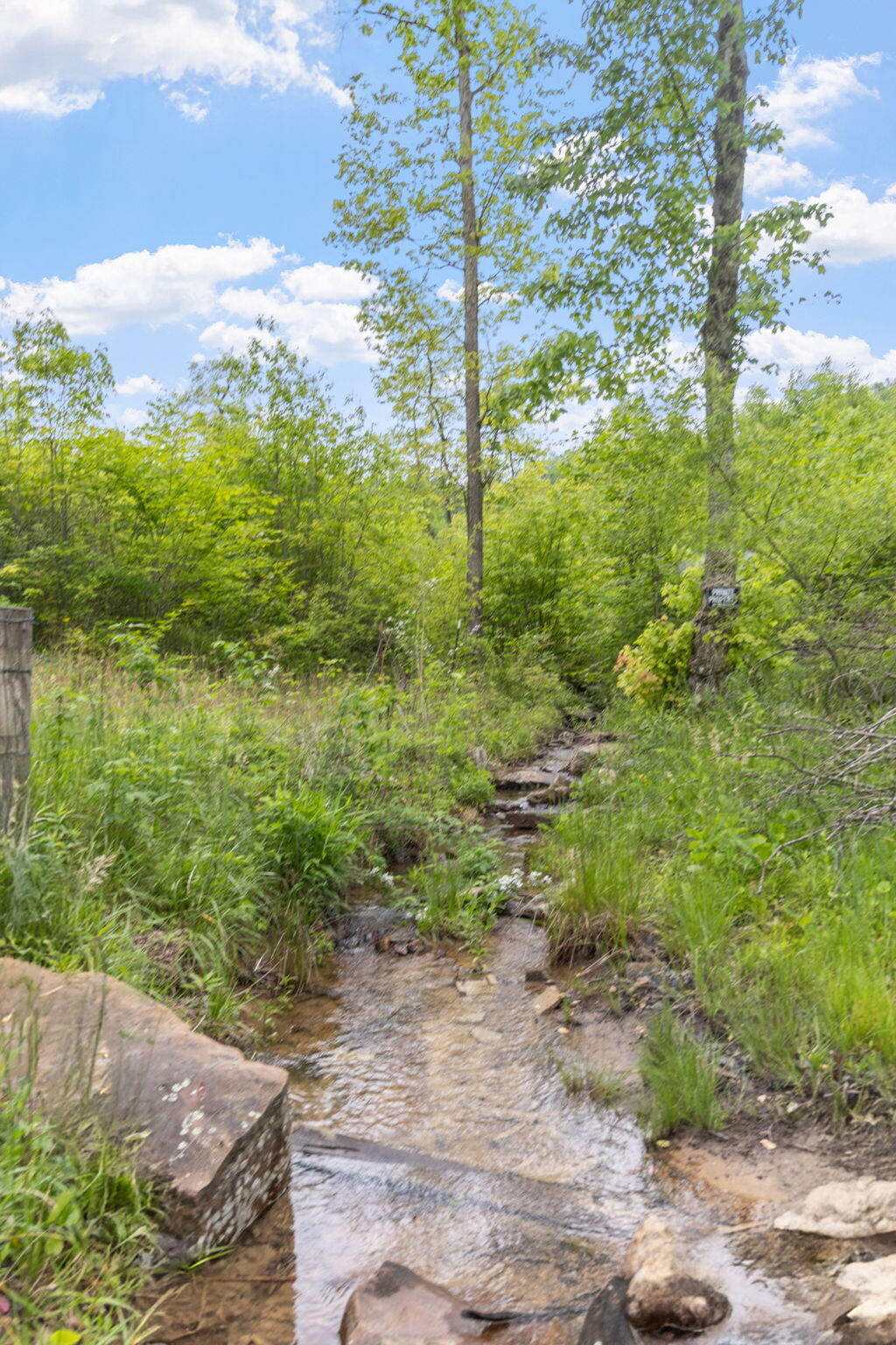 Rock Avenue End Of Avenue, Palmer, Tennessee image 17